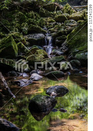 深谷龍鎮渓谷 深谷龍鎮渓谷 117241199