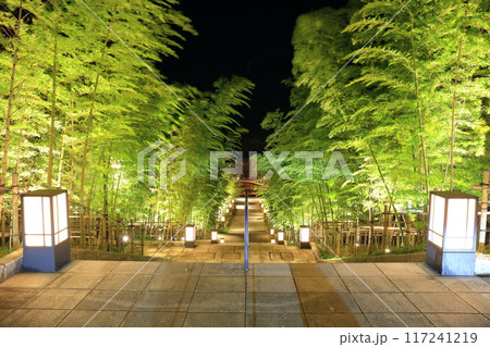 【山口県】長門湯本温泉の竹林の階段の夜景（礼湯泉源） 117241219