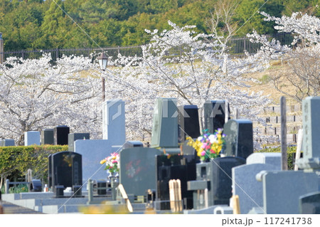 桜が咲く霊園 117241738