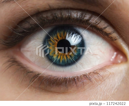 Close-up of a woman's eye 117242022