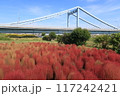 コキアと葛西橋 117242421