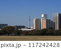 秋の大島小松川公園01 117242428
