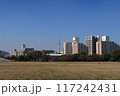 秋の大島小松川公園02 117242431