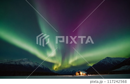 Beautiful northern lights 117242568