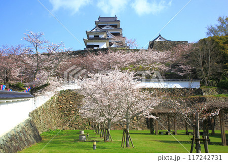 大洲城 117242731