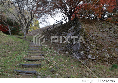 紅葉と城跡(市場城址 愛知県 豊田市) 紅葉と城跡(市場城址 愛知県 豊田市) 117242793