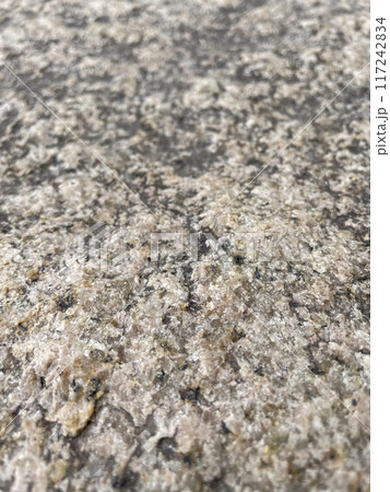まだらな石肌 117242834