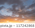 夕日に染まる雲 117242868