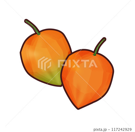 ほおずき　イラスト素材 117242929