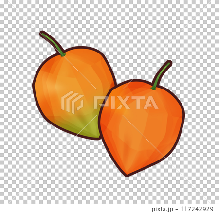 ほおずき　イラスト素材 117242929