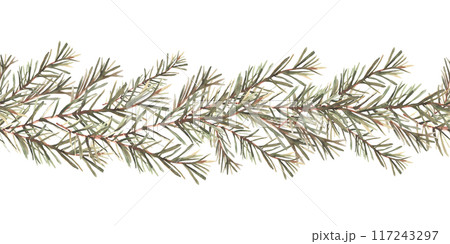 Pine or fir tree branches seamless border, pattern. Spruce evergreen with needles. Winter forest watercolor Christmas tree twig painted illustration for fabric, wrapping paper on isolated background Pine or fir tree branches seamless border, pattern. Spruce evergreen with needles. Winter forest watercolor Christmas tree twig painted illustration for fabric, wrapping paper on isolated background 117243297