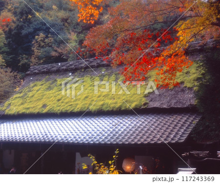 京都、嵯峨野の嵯峨鳥居本(門前町)の茅葺き屋根の茶店(平野屋)と紅葉 京都、嵯峨野の嵯峨鳥居本(門前町)の茅葺き屋根の茶店(平野屋)と紅葉 117243369