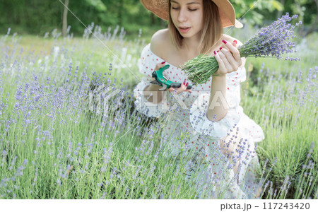 Young woman picking lavender flowers Young woman picking lavender flowers 117243420