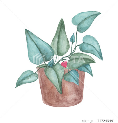 Heart fern plant in a pot, watercolor. Pink, green love plant clipart isolated on white background. Mothers, Fathers day hand drawn design for printing, cards, gift wrapping 117243491