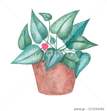 Heart fern plant in a pot, watercolor. Pink, green love plant clipart isolated on white background. Mothers, Fathers day hand drawn design for printing, cards, gift wrapping 117243492