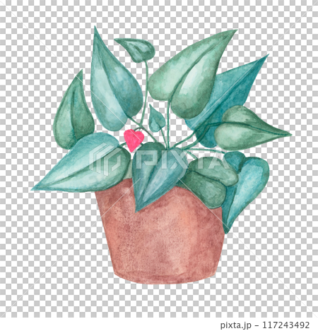 Heart fern plant in a pot, watercolor. Pink, green love plant clipart isolated on white background. Mothers, Fathers day hand drawn design for printing, cards, gift wrapping 117243492