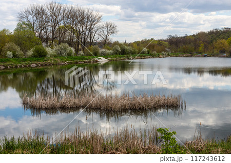 Tranquil landscape at a lake, with the vibrant sky, white clouds and the trees reflected symmetrically in the clean blue water 117243612
