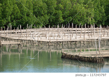 Selective focus of Oyster farm. 117243797