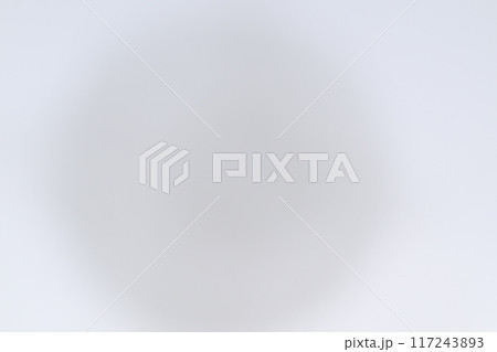 和紙によるボケ味を持つ背景素材(白色) 和紙によるボケ味を持つ背景素材(白色) 117243893