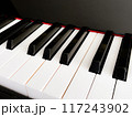 ピアノの鍵盤のアップ 117243902