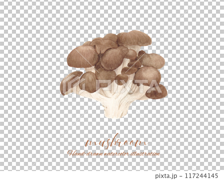 平武的水彩插圖 平武的水彩插圖 117244145