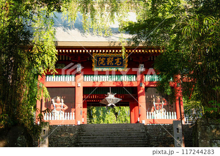 妙義山　妙義神社の風景　群馬県　日本 117244283