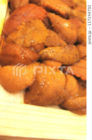 箱ウニの接写画像8 箱ウニの接写画像8 117244792