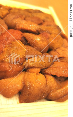 箱ウニの接写画像8 箱ウニの接写画像8 117244796