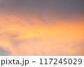 夕焼け空を飛ぶ鳥 117245029