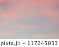 夕焼け空を飛ぶ飛行機 117245033