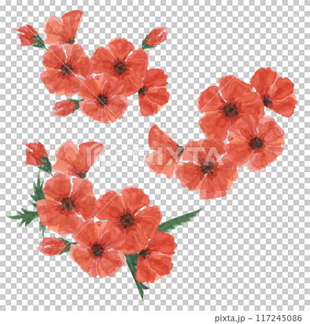 Red poppies bouquets. Poppy day, Armistice flower compositions. Hand drawn watercolor illustration for remembrance card, banners, commemorative events, US Memorial day, Anzac day, flyer, banners, sale 117245086