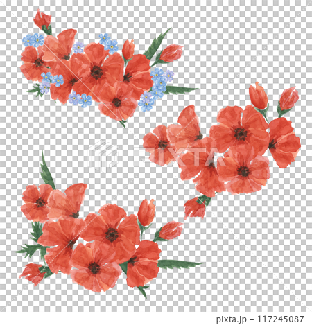 Red poppies and forget-me-nots bouquets. Poppy day flower compositions. Hand drawn watercolor illustration for card, banners, commemorative events, US memorial day, Anzac day, flyers, banners, sale 117245087