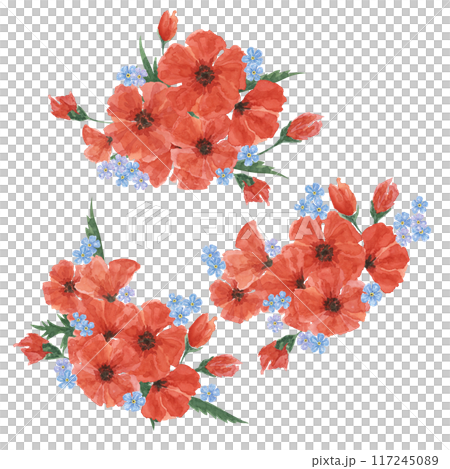 Red poppies and forget-me-nots bouquets. Poppy day flower compositions. Hand drawn watercolor illustration for card, banners, commemorative events, US memorial day, Anzac day, flyers, banners, sale 117245089