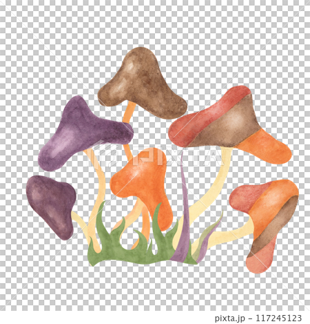 Retro hippie mushroom and grass in 70s style. Hippie psychedelic groovy fungus clipart. Watercolor indie illustration for flower power sticker, nostalgic design, printing, quote, t-shirt cartoon style Retro hippie mushroom and grass in 70s style. Hippie psychedelic groovy fungus clipart. Watercolor indie illustration for flower power sticker, nostalgic design, printing, quote, t-shirt cartoon style 117245123