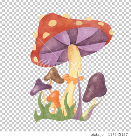Retro hippie mushrooms and fly agaric in 1970s style. Hippie psychedelic groovy fungus clipart. Watercolor indie illustration for flower power sticker, nostalgic design, printing, quote, t-shirt Retro hippie mushrooms and fly agaric in 1970s style. Hippie psychedelic groovy fungus clipart. Watercolor indie illustration for flower power sticker, nostalgic design, printing, quote, t-shirt 117245127