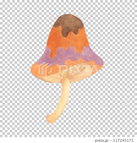 Hippie psychedelic magic mushroom in 70s style. Vintage groovy toadstool nostalgic clipart. Watercolor fairytale fungus funky illustration for printing, trippy stickers, flyers, indie t-shirts, labels 117245171