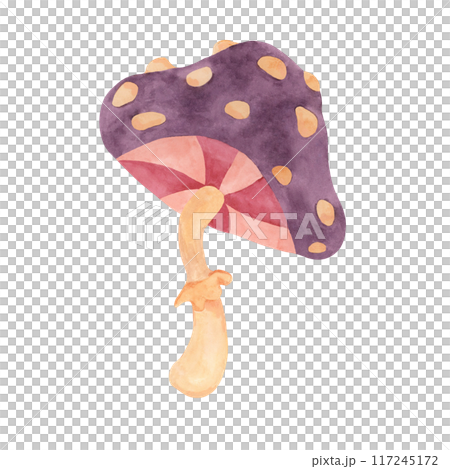 Hippie psychedelic magic mushroom in 70s style. Vintage groovy fly agaric nostalgic clipart. Watercolor fairytale fungus funky illustration for printing, trippy sticker, flyers, indie t-shirts, labels Hippie psychedelic magic mushroom in 70s style. Vintage groovy fly agaric nostalgic clipart. Watercolor fairytale fungus funky illustration for printing, trippy sticker, flyers, indie t-shirts, labels 117245172