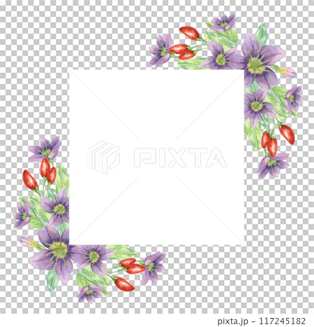 Red goji berries, lilac flowers and green leaves corner frame design. Hand-drawn watercolor illustration for DIY printing, greeting card making, quote, gift tag, label, postcard, square flyer template Red goji berries, lilac flowers and green leaves corner frame design. Hand-drawn watercolor illustration for DIY printing, greeting card making, quote, gift tag, label, postcard, square flyer template 117245182