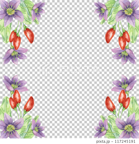 Red goji berries, lilac flowers and green leaves square frame design. Hand-drawn watercolor illustration for DIY printing, greeting card making, quote, gift tag, label, postcard, flyer template Red goji berries, lilac flowers and green leaves square frame design. Hand-drawn watercolor illustration for DIY printing, greeting card making, quote, gift tag, label, postcard, flyer template 117245191