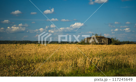 A bunker in the distance, in a wheat field. Bunker in the field A bunker in the distance, in a wheat field. Bunker in the field 117245649