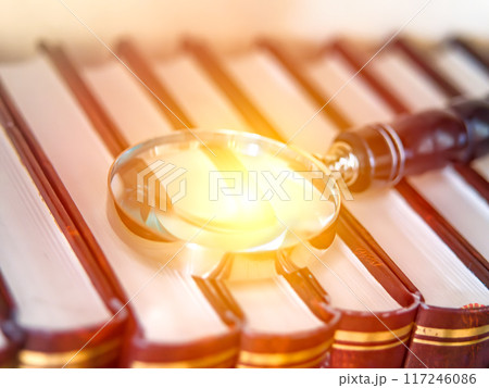 Magnifying Glass on Bookshelf in Sunlight 117246086