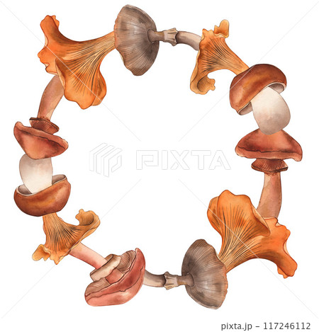 Mushrooms, round frame, chanterelles, porcini mushroom, fly agaric, honey mushrooms. The illustration is drawn in watercolor in isolation. For the design of autumn holidays, printing, halloween, card. 117246112