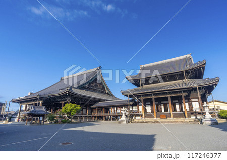 京都 本山興正寺 御影堂(左)と阿弥陀堂(右) 京都 本山興正寺 御影堂(左)と阿弥陀堂(右) 117246377