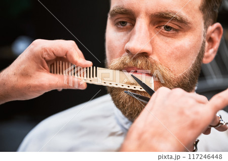 Close-up photo of professional hairdresser using comb and scissors to shape beard. Handsome customer getting his beard done. 117246448