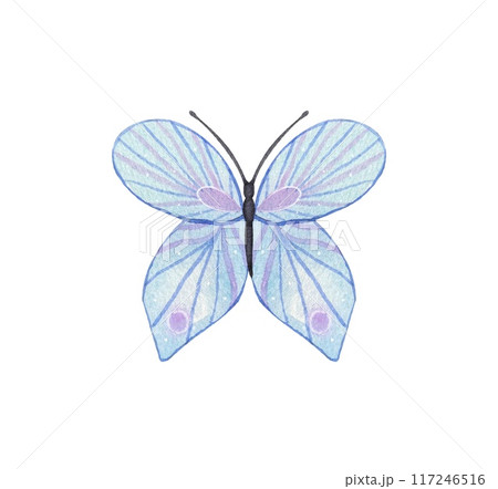 Hand drawn abstract butterfly in blue tones on a white background 117246516