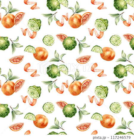 Citrus grapefruit and bergamot fruits slices and leaves on watercolor seamless pattern isolated. Hand drawn ripe plants with bright orange green peel in botanical sketch style for textile, package Citrus grapefruit and bergamot fruits slices and leaves on watercolor seamless pattern isolated. Hand drawn ripe plants with bright orange green peel in botanical sketch style for textile, package 117246579