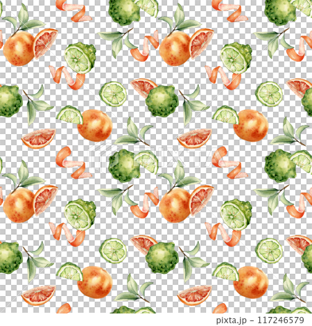 Citrus grapefruit and bergamot fruits slices and leaves on watercolor seamless pattern isolated. Hand drawn ripe plants with bright orange green peel in botanical sketch style for textile, package Citrus grapefruit and bergamot fruits slices and leaves on watercolor seamless pattern isolated. Hand drawn ripe plants with bright orange green peel in botanical sketch style for textile, package 117246579