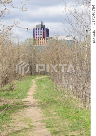 Tree on the background of residential home, spring, leaves bloom, spring background. 117246764