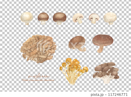 水彩で描いたきのこのカットイラストセット 117246771