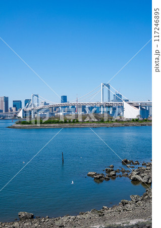 お台場海浜公園の展望デッキからレインボーブリッジ（東京都港区） 117246895